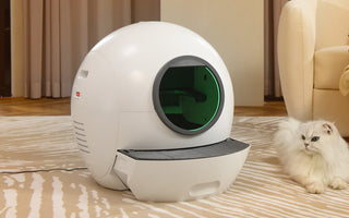 cat and auto litter box