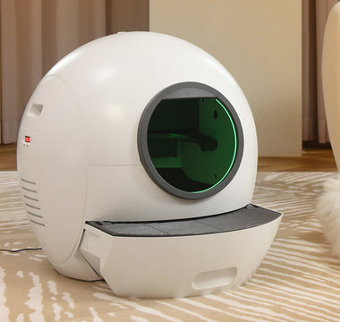 cat and auto litter box