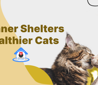 Els Pet Made a Difference for Cat Shelters