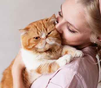 Understanding Cat Behavior: Tips for a Harmonious Home