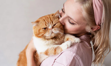 Understanding Cat Behavior: Tips for a Harmonious Home